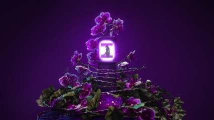 Ängie - Here For My Habits / Venus in Furs