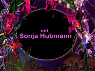 Deutsche Grammatik: „Die Artikel“ (mit Sonja Hubmann)