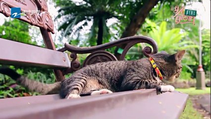 【FULL】烘焙大作战 胡可分享育儿经《女人有话说》第5期 20180416 [浙江卫视官方HD]