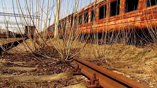 САМЫЕ СТРАШНЫЕ ЛЕСА НА ПЛАНЕТЕ.