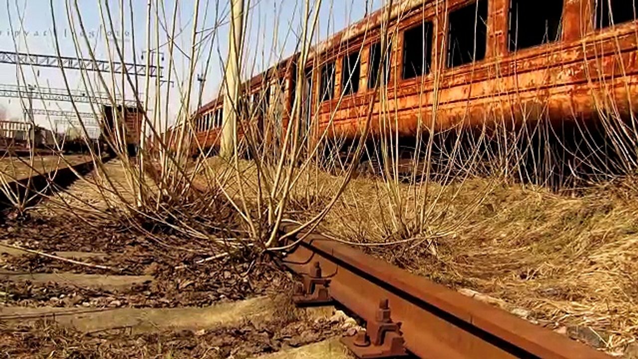 САМЫЕ СТРАШНЫЕ ЛЕСА НА ПЛАНЕТЕ.