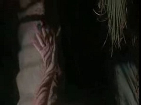 Cameron Diaz - the Mask-