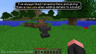 ✔ Minecraft: 10 Items You Should Rename