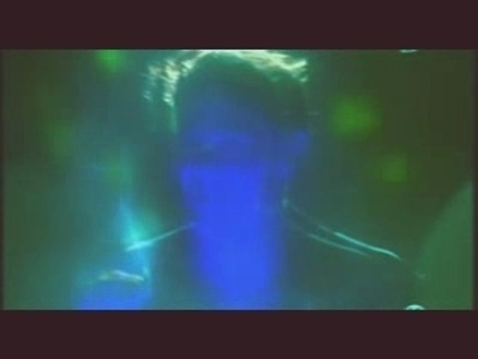 le Couvent (gimme cocaine)