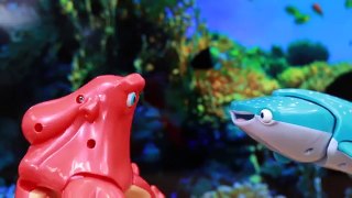 Finding Dory Accidentally Taken by Bailey in a Surprise Sea Shell