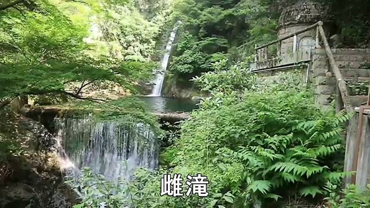 柴犬小春　おばさま急接近！ハイキングコースでの出会い色々^^【布引の滝】