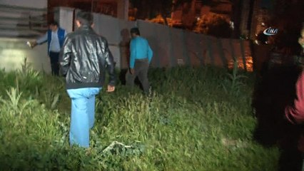 Sokak köpekleri saldırdı 3 oğlak telef oldu