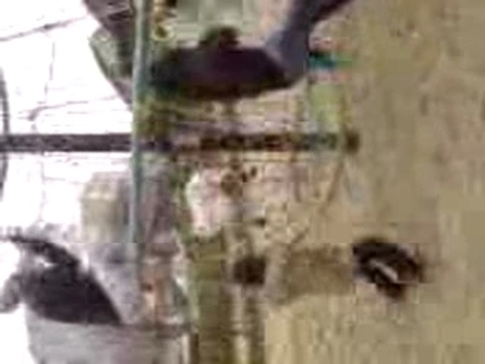 MOV00009