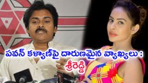 Pawan Kalyan Severly Blamed By Sri Reddy