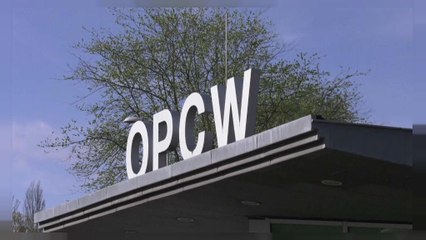 Russischer Botschafter: OPCW-Team darf am Mittwoch nach Duma