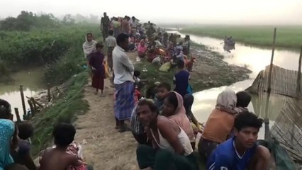 جائزة بوليتزر لكل من "نيويورك تايمز" و"نيويوركر" ورويترز