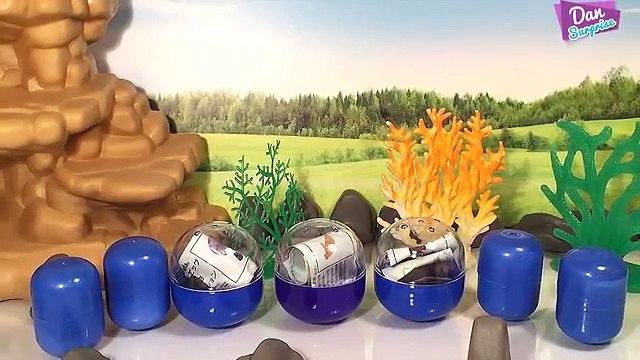 8 GORGEOUS SEA ANIMALS NAMES SURPRISE TOYS 3D PUZZLES - Beluga Whale Squid Jelly Fish Turtle