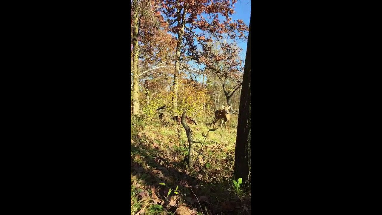 BUT DOES HE STILL HUNT DEER AFTER THIS