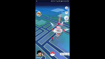Pokémon GO Gym Battles 100% IV BLISSEY cp3219 Dunsparce Ursaring Gligar & more!