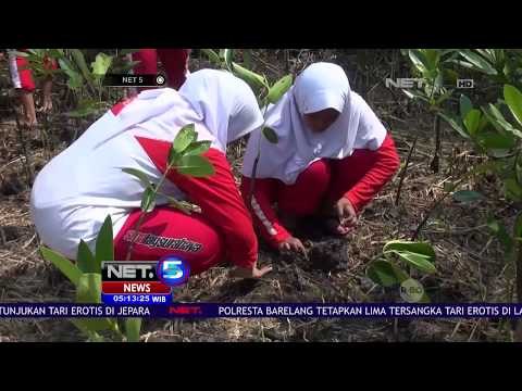 250 Siswa Menanam Mangrove Untuk Pelestarian Lingkungan - NET 5