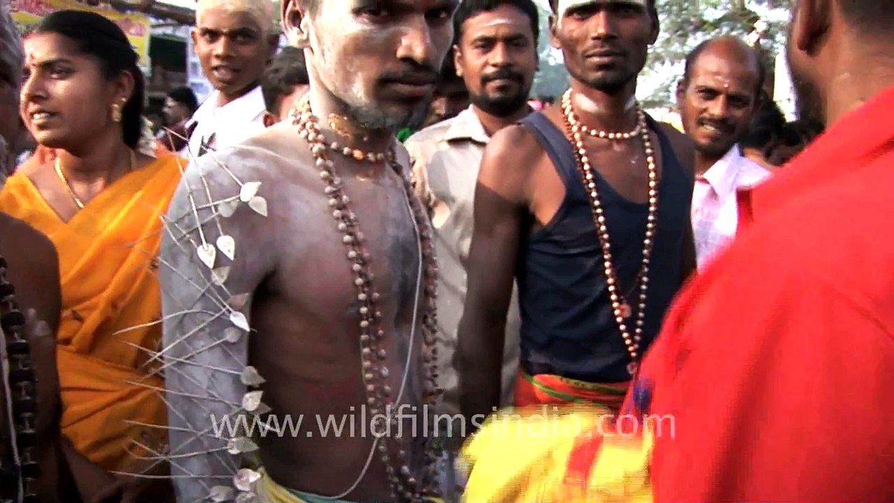 Speared for Murugan in Thaipusam%2C Tamil Nadu
