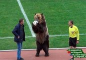 Trained Bear Kicks Off Proceedings in Russian Club Soccer Game