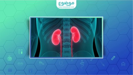 كيف نخفض نسبة الكرياتينين