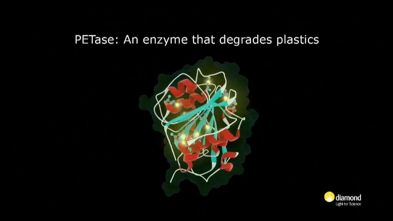 Wissenschaft: Ein Enzym, das Plastik 'fressen' kann