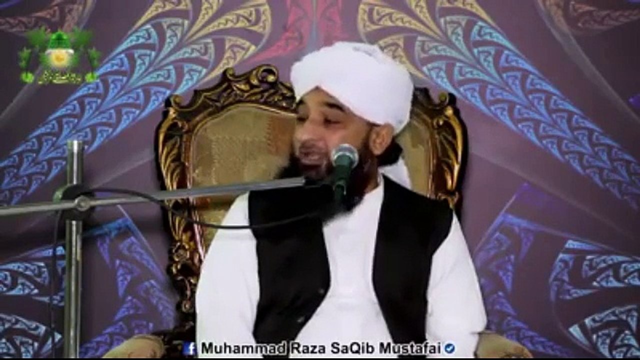 Muhammad Raza Saqib Mustafai (254)