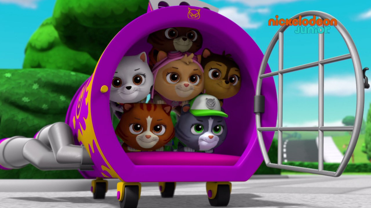 Paw Patrol : la Pat'Patrouille | Les chatons | NICKELODEON JUNIOR
