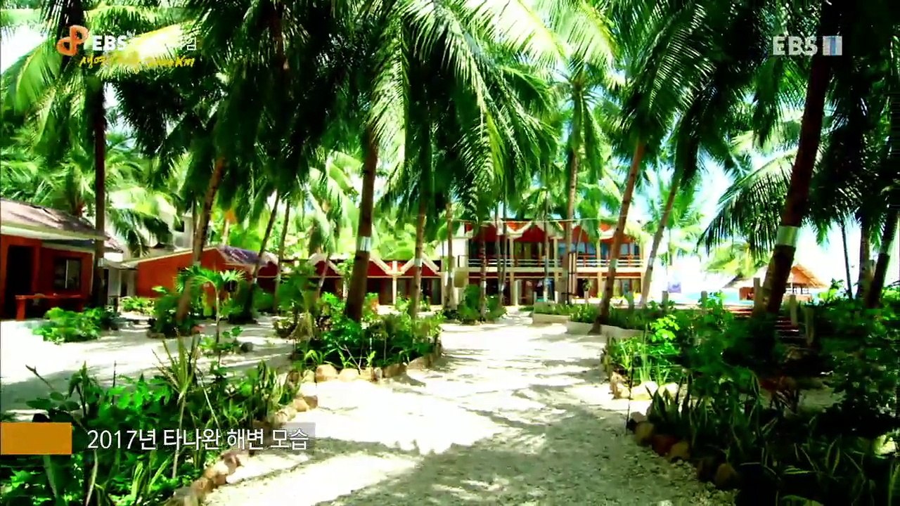 EBS 다큐프라임 - Docuprime_[생명의 해류 2000km- 지구의 동맥 적도해류]_#002