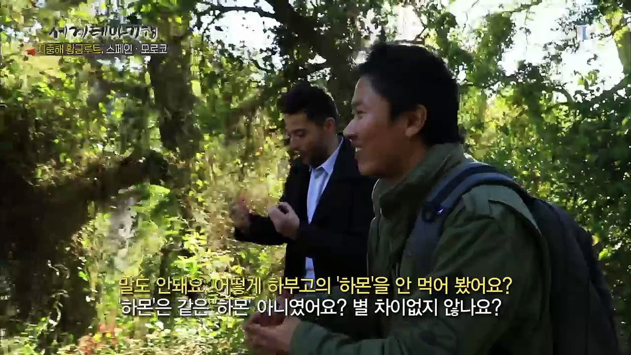 세계테마기행 - 지중해 황금루투 스페인, 모로코 1부- 안달루시아 지도 밖으로의 여행...