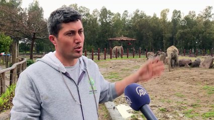 Vahşi hayvanlara 'bebek' gibi bakıyorlar - İZMİR