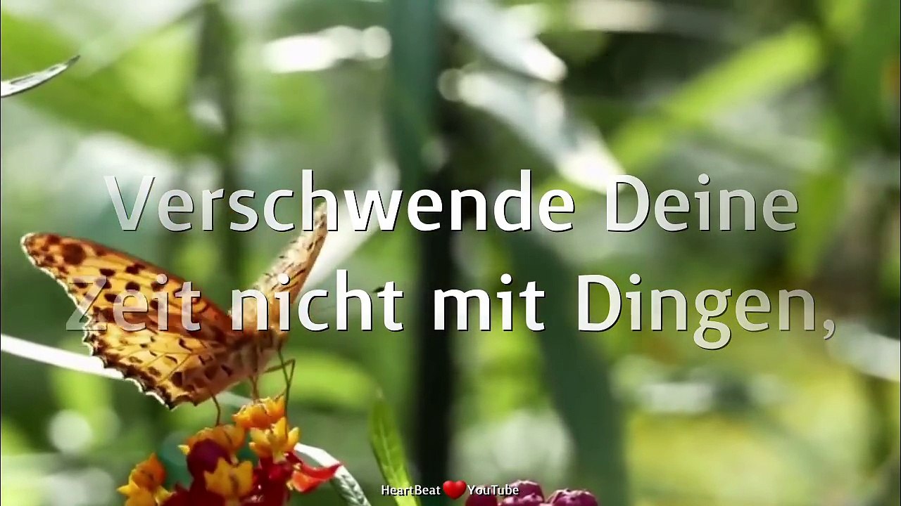 Guten Morgen Grüße. Nutze Deine Zeit. Den jeder Moment ist einmalig.