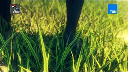 البوصلة - عوائق تجديد الفكر الديني الجزء 15 تابع ابن تيمية حلقة21  الأربعاء 21 فبراير 2018