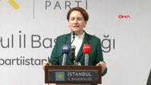 Meral Akşener'den Erken Seçim Açıklaması