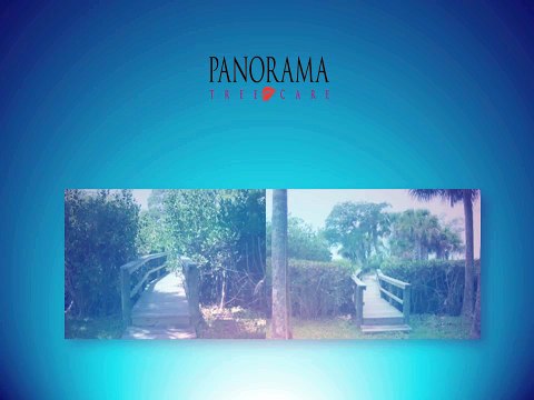 Expert Mangrove Trimmers - Panorama Tree Care