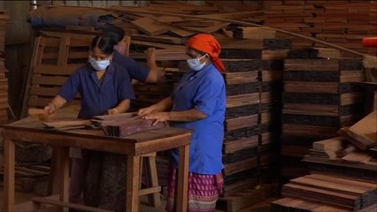 هذا الصباح- خشب الورد في دائرة الخطر