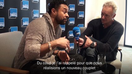 Sting & Shaggy : "Notre amitié est un heureux accident"