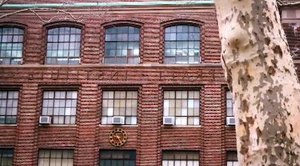 Mapplethorpe Look At The Pictures 2016       Part 04