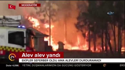 Avustralya'daki orman yangını hızla büyüdü