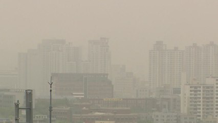 미세먼지에 오존·꽃가루까지...5월까지 호흡기 삼중고 / YTN