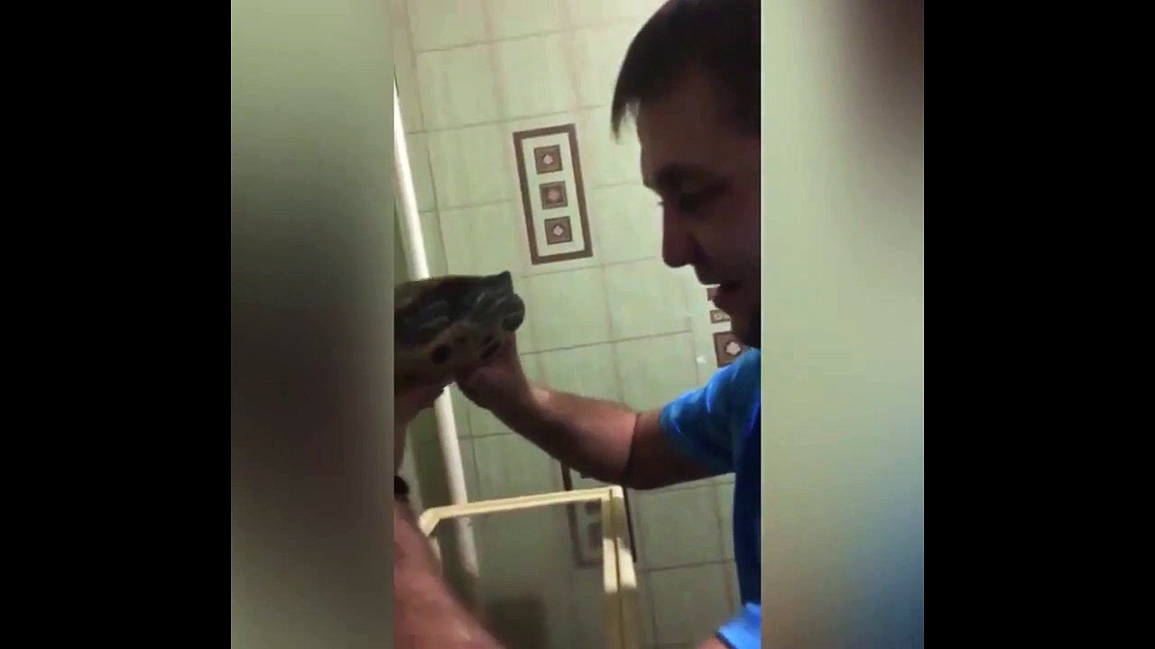Cet homme veut faire un bisou à une tortue mais c’était une mauvaise idée