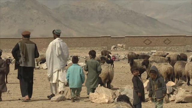 معاناة البدو الرحل في أفغانستان