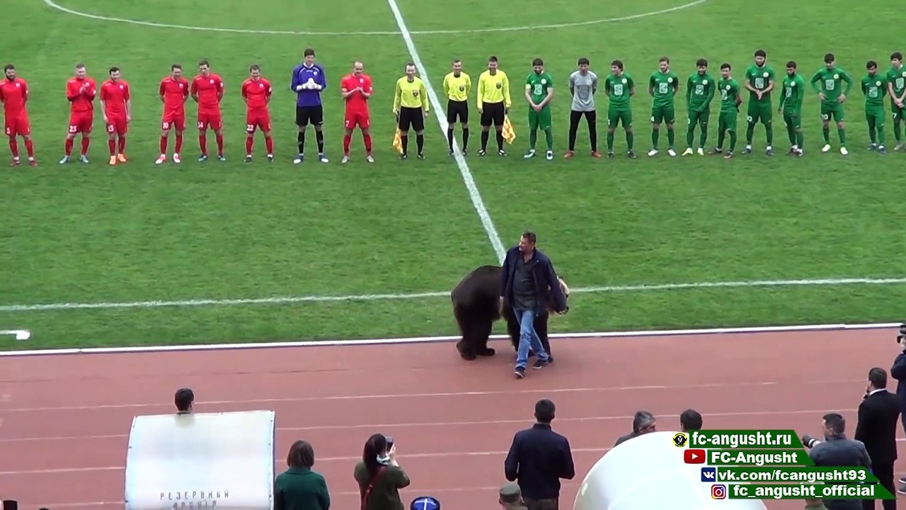 Russie: un ours vivant pour annoncer le coup d'envoi du match