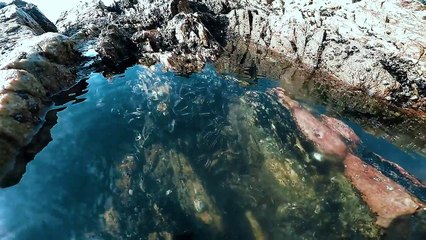 Praia da Paciência a menor praia do Brasil %2