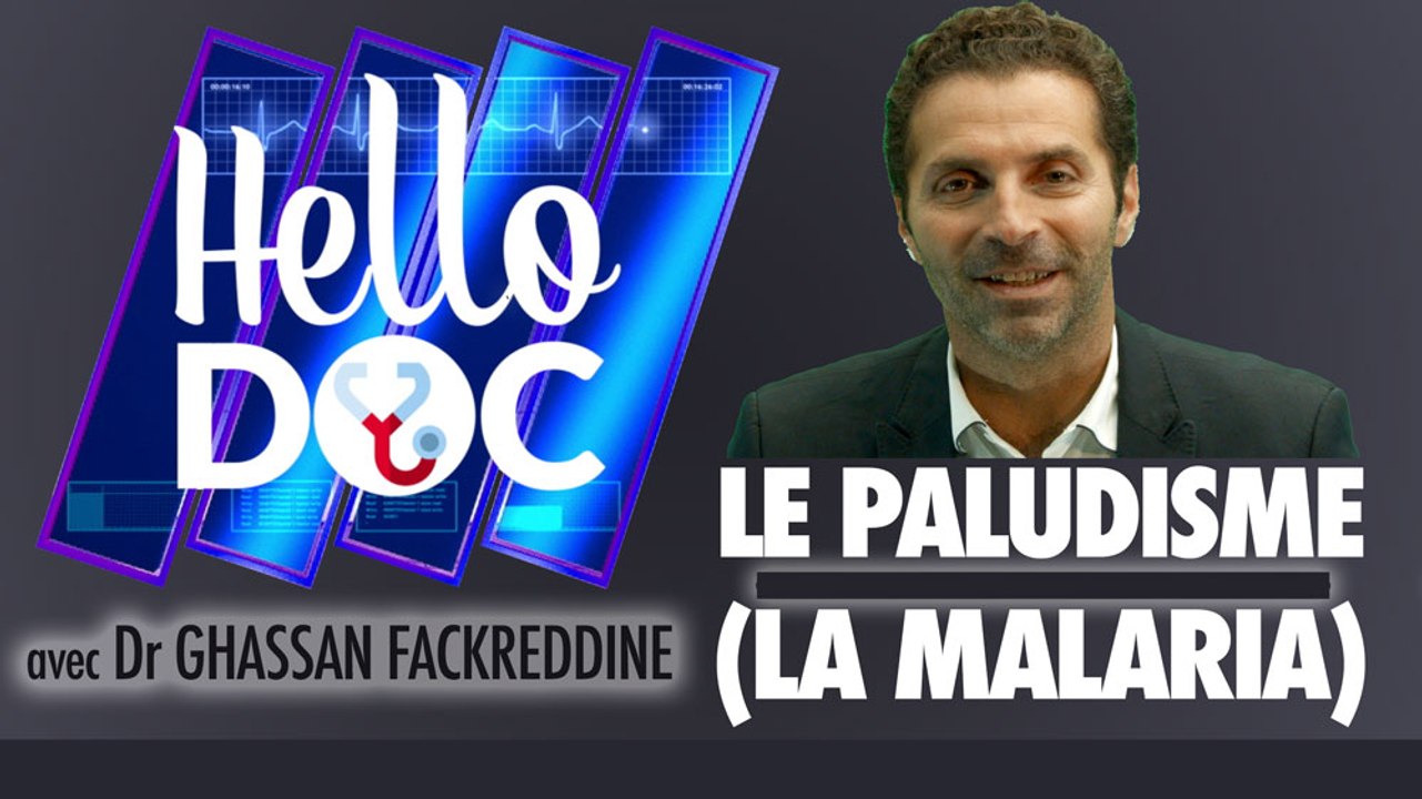 HELLO DOC : Le paludisme (la malaria)