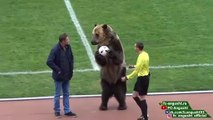 Bear helps kick off Russian football match