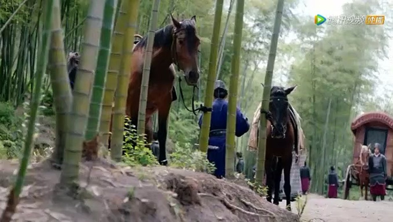 三國機密之潛龍在淵第35集預告（信息有三国机密之潜龙在渊1-30集完整版）