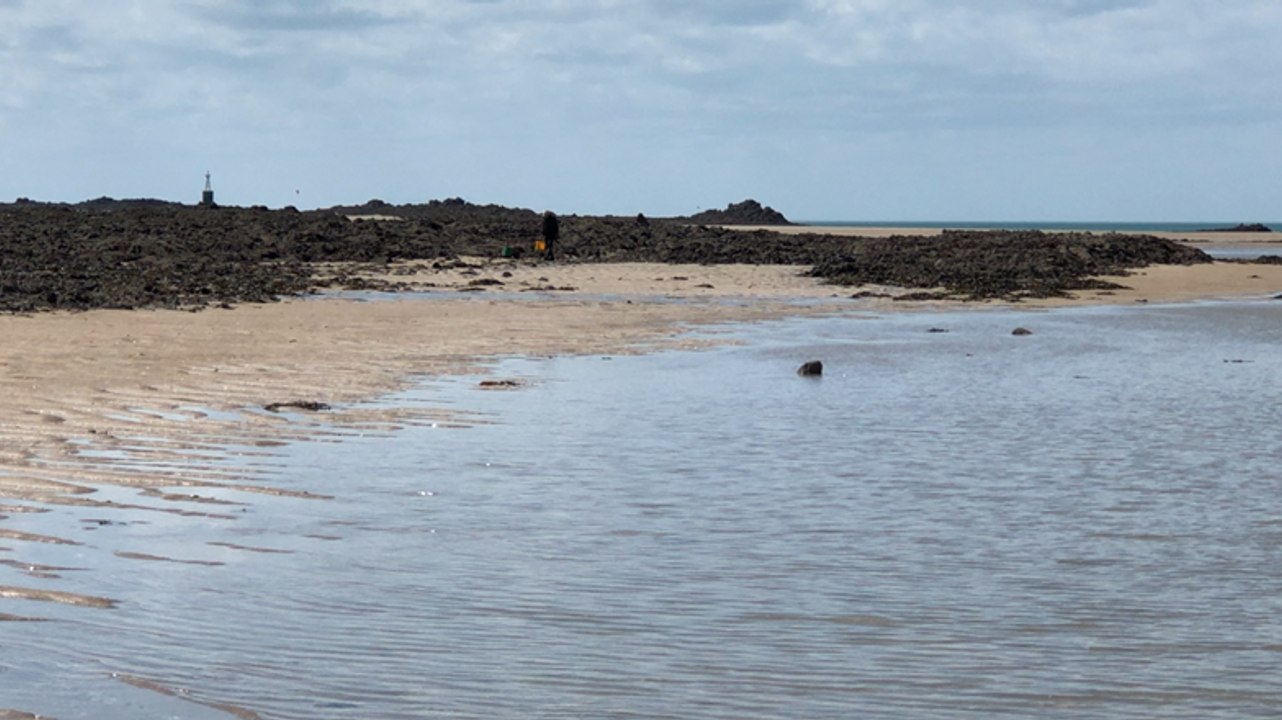 La pêche à pied lors de la grande marée
