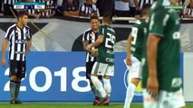 Botafogo x Palmeiras (Campeonato Brasileiro 2018 1ª rodada)  2º Tempo