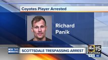 Arizona Coyotes player arrested in Scottsdale