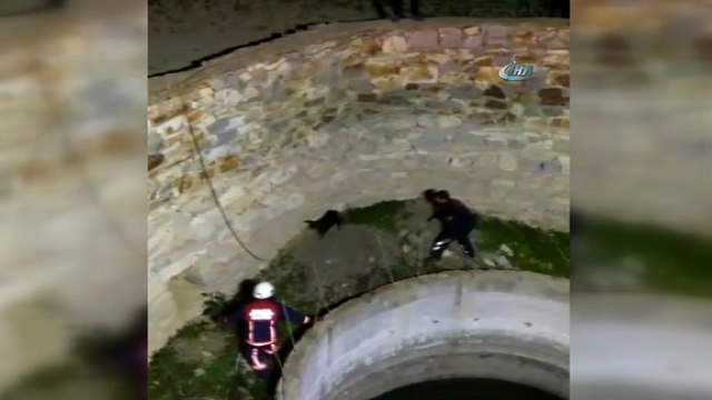 Su kuyusuna düşerek mahsur kalan keçi, itfaiye ekipleri tarafından böyle kurtarıldı