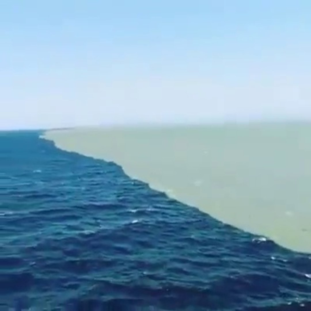 Pourquoi L Ocean Indien Et Atlantique Ne Se Melange Pas Quand l'océan atlantique rencontre l'océan pacifique, ça donne ça! - Vidéo  Dailymotion