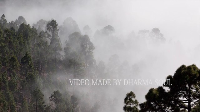 Meditation Music For Healing The Heart - Tibetan Healing Bowls - Relax Mind & Body